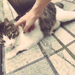 娇妻第一次找单男拍摄
